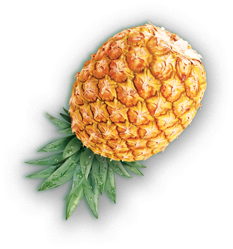 Background 02